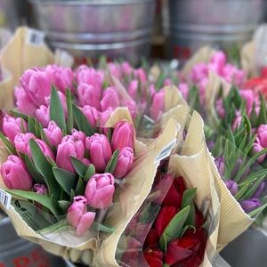 Meet your Posher, Sandy